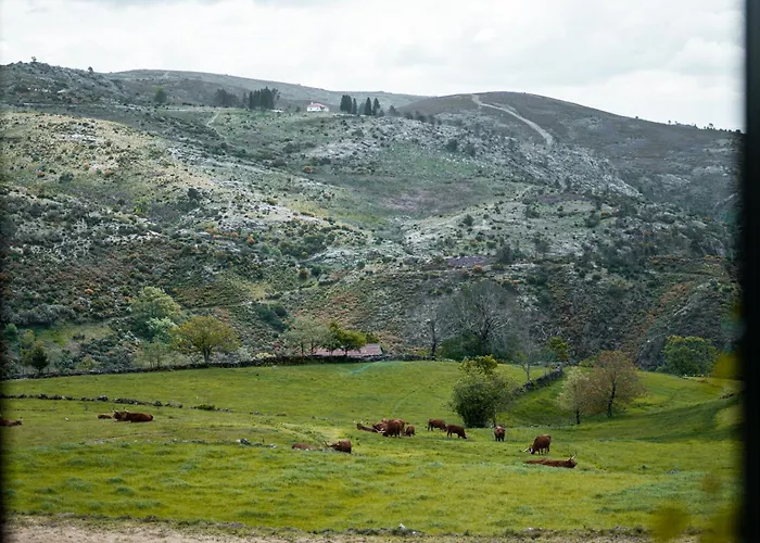 Дом отдыха Refugio Nariz Do Mundo